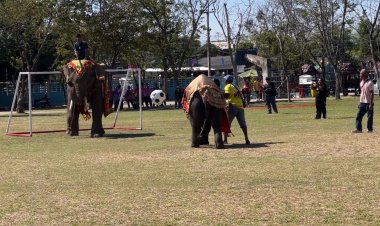 สีสันงานกีฬาสีโรงเรียนบ้านค่ายชัยภูมิ ม่วนกรุ๊ปทั้งนักเรียนทั้งน้องช้าง โชว์เต้นโชว์ลีลาเตะฟุตบอล