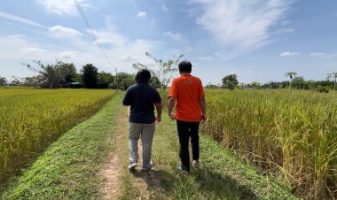 นบข.​จ่อครม.​ช่วยชาวนาไร่ละ​ 1,000 บาท​ไม่เกิน 10 ไร่​วงเงิน​กว่า 3.8 หมื่นล้าน