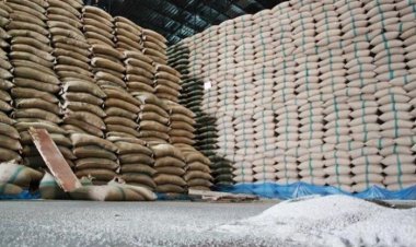 ข้าวไทยส่งออกพุ่ง 10 เดือนปี 67 สูงถึง 9 ล้านตันมูลค่า 230,000 ล้าน