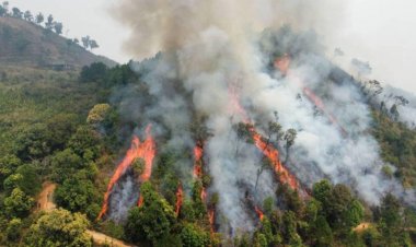 คิก ออฟ มาตรการรับมือสถานการณ์ ไฟป่า หมอกควัน และฝุ่นละออง ปี 2568