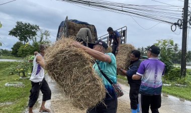 รัฐบาลเร่งช่วยเหลือเกษตรกรผู้เลี้ยงสัตว์ประสบอุทกภัยภาคใต้