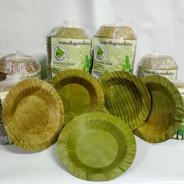 ใกล้เทศกาลลอยกระทง ตลาดใบตองคึกคัก แนะเกษตรกรวางแผน ให้คุ้มค่าการลงทุน