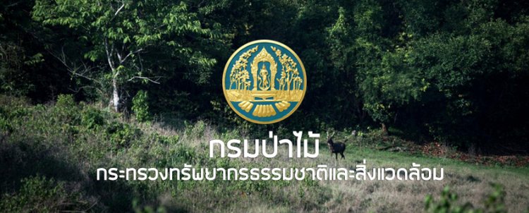 กรมป่าไม้ดำเนินการอนุรักษ์ดินและน้ำในพื้นที่ป่าสงวนแห่งชาติ ลุ่มน้ำชั้นที่ ๑ และ ๒เพื่อการอยู่อาศัยทำกินอย่างยั่งยืน