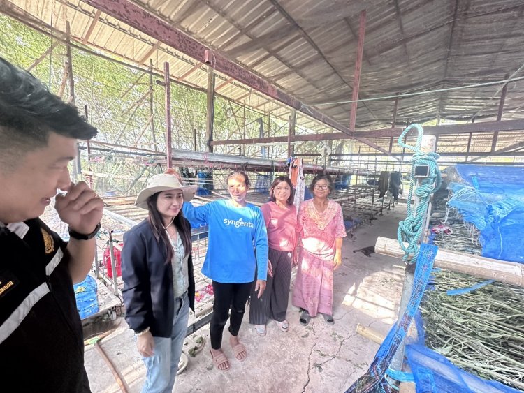 สศท.5 หนุน‘หม่อนไหม’ ทดแทนผลิตข้าวนาปีพื้นที่ จังหวัดชัยภูมิ