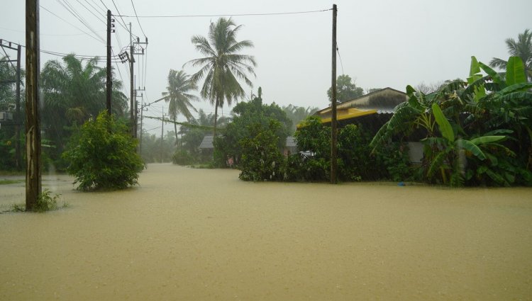 ฝนถล่มพัทลุง 15 ตำบล 4 อำเภอ ผจญ อุทกภัย-วาตภัย เร่งอพยพชาวบ้าน