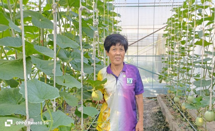 ก้าวที่สอง “น้าอารีย์”จากนักการเงินหันหน้าสู่ “ไร่ภูริฟาร์ม”ที่วังทอง
