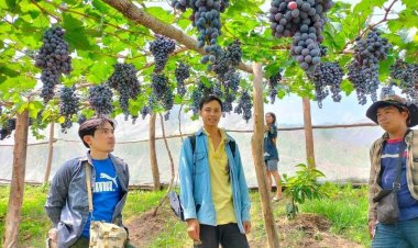 "บ้านปางยาง"ปรับวิถี สร้างความมั่นคงทางอาหาร สู่การคืนผืนป่าเพิ่มพื้นที่สีเขียว