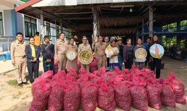 อำเภอยางชุมน้อยผลักดัน "หอมแดง"สินค้า GI เจาะตลาดภาคเหนือ-ใต้ เพิ่มรายได้เกษตรกร