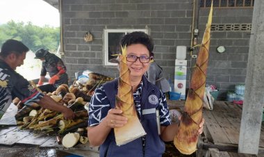 เกษตรกรแปดริ้วปลูก‘ไผ่’แปรรูป สร้างรายได้กลุ่ม 2,091,800 บาท/ปี