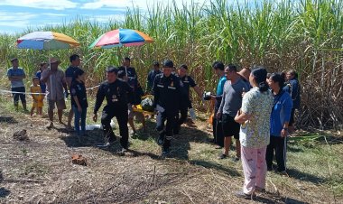 ช้างป่าเขาอ่างฤาไนคลั่งไล่ตื๊บหนุ่มวัย 45 ดับสลดคาไร่อ้อย