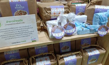 “เซ็นทรัล ทำ” รักษ์ข้าวไทย ปลูกปัญญาหนุนเกษตรกรทำนา 8  จังหวัด 10 ชุมชน