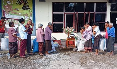 ชาวอุทัยธานีทำบุญกุ้มข้าวใหญ่ชาวอีสาน ตามประเพณีบูชาพระแม่โพสพ