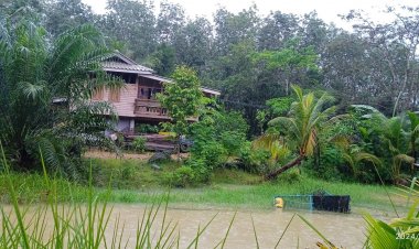 “ปรัชญาเศรฐกิจพอเพียงโคก หนอง นา”  รอดพ้นวิกฤติน้ำท่วมภาคใต้