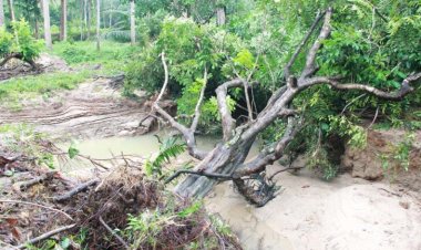 เขาบรรทัดป่าเสื่อมโทรมไม่อุ้มน้ำสาเหตุหลักทำให้น้ำท่วมหนักภาคใต้ตอนบน