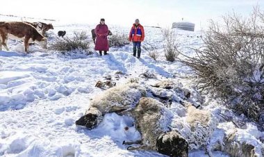 สุดยะเยือก!มองโกเลียอุณหภูมิลดฮวบ-42 องศานชั่วข้ามคืน