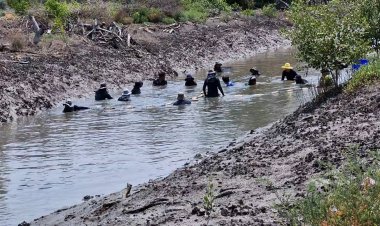 จุดจบปลาหมอคางดำในไทย เส้นทางสู่การจัดการที่ยั่งยืน