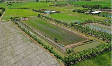 อนุมัติเงินกองทุนฯ ใช้จ่ายตามโครงการจัดที่ดินชุมชนในเขตปฏิรูปที่ดิน