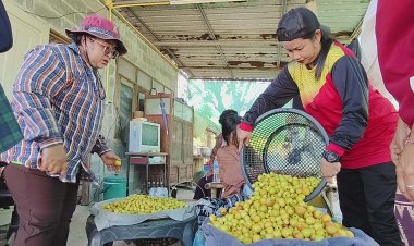 พุดซา 3 รสออเดอร์ปังช่วงเข้าปีใหม่ 4 ไร่ฟันเงินแสนมีเท่าไรก็ไม่พอ