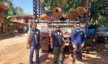 ปิดล้อมจับกุมแก๊งมอดไม้ลอบโค่นไม้หวงห้าม 5 รายส่งขายจีน