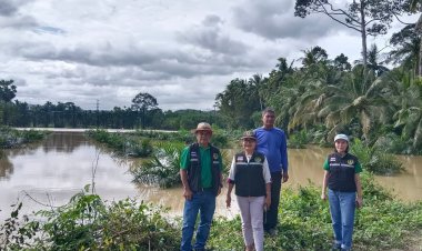 น้ำท่วมใต้กระทบ 11 จว.เสียหาย กว่า 2 แสนไร่ เตรียมเงินช่วยเหลือครัวเรือนละไม่เกิน 30 ไร่