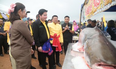 โครงการจับ 1 ปล่อย 100 กรมประมงได้ผล สร้างรายได้ชุมชนแก่งกระจานยั่งยืน