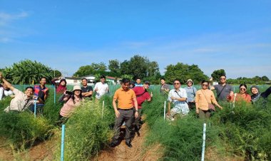 วาง 3 แนวทาง ขับเคลื่อนงานอาสาสมัครเกษตรหมู่บ้าน (อกม.) ปี 68