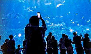 เปิดเที่ยวฟรี! "อควาเรียม"ศูนย์ประมงทั่วไทย พร้อมมอบพันธุ์ปลาวันละ50ถุงเลี้ยงเชิงพาณิชย์