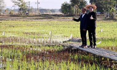 จัดใหญ่! นำเทคโนโลยีลดต้นทุนการผลิตข้าว