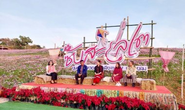 ชัยภูมิเปิดจุดเคาท์ดาวน์ซับสะเลเตขุนเขาแห่งดอกไม้ใหญ่สุดในภาคอีสาน