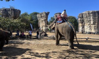 แห่เเที่ยวจุดเคาท์ดาวน์ขี่ช้างแสนรู้ชมมอหินขาวเมืองชัยภูมิคึกคัก