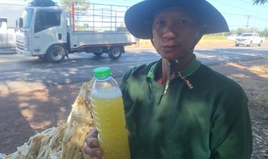 หวานชื่นใจ!สองสามีภรรยาขายน้ำอ้อยคั้นสดใหม่ริมทางโกยวันละ 2 พัน