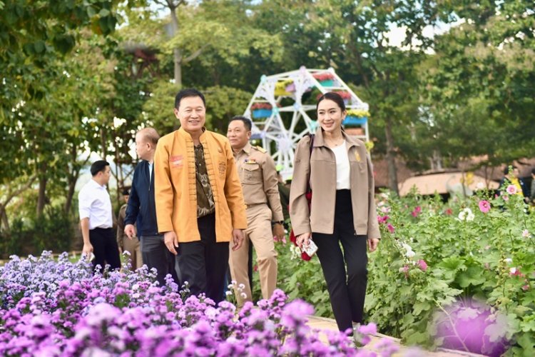 ชวนเที่ยวงาน “มนต์เสน่ห์เชียงใหม่ เมืองดอกไม้งาม”รับหน้าหนาว