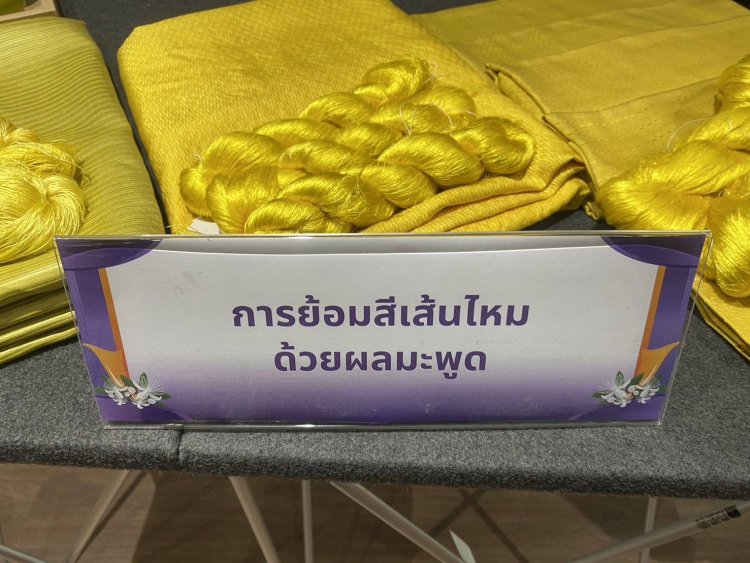 นักวิจัยโคราชค้นพบเคล็ดลับใช้ลูก “มะพูด”ย้อมเส้นไหมสีเหลืองทองอร่ามเพิ่มมูลค่า