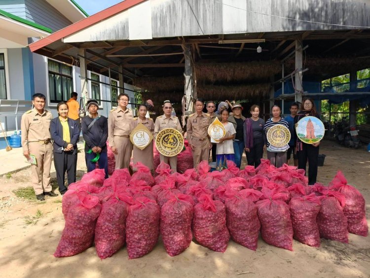 อำเภอยางชุมน้อยผลักดัน "หอมแดง"สินค้า GI เจาะตลาดภาคเหนือ-ใต้ เพิ่มรายได้เกษตรกร