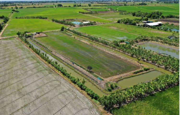 อนุมัติเงินกองทุนฯ ใช้จ่ายตามโครงการจัดที่ดินชุมชนในเขตปฏิรูปที่ดิน