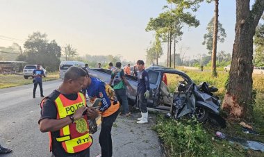 สลดรับปีใหม่!กระบะซิ่งเสียหลัก พุ่งชนต้นไม้ ดับ 6 เจ็บ 1