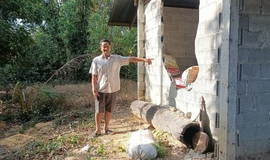 ระทึกกลางดึก!ช้างป่าเขาอ่างฤาไนบุกพังยุ้งข้าวหิ้วข้าวเปลือก 4 กระสอบไปกิน