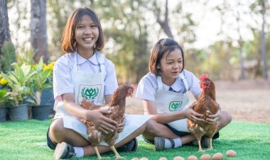 “โครงการเลี้ยงไก่ไข่เพื่ออาหารกลางวัน” .. เครือซีพี – ซีพีเอฟ เดินหน้ายกระดับโภชนาการในพื้นที่ห่างไกล