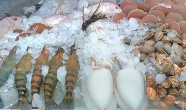 ภาครัฐผนึกเอกชนเร่งผลักดันสมุทรสาครเมืองศูนย์กลางแห่งซีฟู้ดสู่ครัวโลก