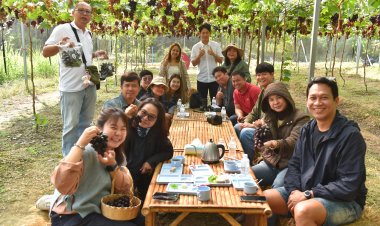 เปิดแหล่งท่องเที่ยวเชิงเกษตรแห่งใหม่ "สวนองุ่นฮักฮิมห้วยน่าน"  สวนองุ่นพื้นที่ราบ - ใกล้ตัวเมือง  โชว์ผลผลิตสุดว้าว "องุ่นนิลน่าน-ควีนนิน่าน" หวังสร้างเส้นทางท่องเที่ยว และแหล่งเรียนรู้การเกษตรของจังหวัดน่าน