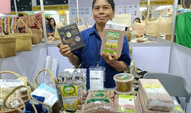 เกษตรกรควนขนุน หันปลูก “ข้าวสังข์หยด” พันธุ์ดีสร้างชื่อ-รายได้งาม