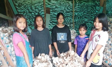 ถ่ายทอดเทคโนโลยีผลิตเห็ดแบบ Low Carbon สร้างรายได้หลักแสนบาทต่อปี