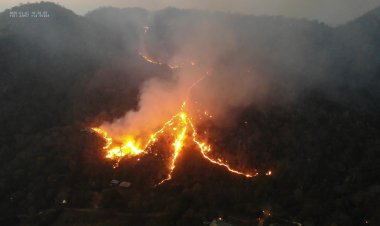 ไฟผลาญป่าดงพญาเย็นเสียหายยับนับ 100 ไร่ คาดจุดไฟเพื่อล่าสัตว์ป่า