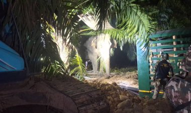 จับขนย้ายช้างป่าไอ้งาเดียวช้างป่าอ่างฤาไนกลับคืนผืนป่าราบต่ำผืนสุดท้าย