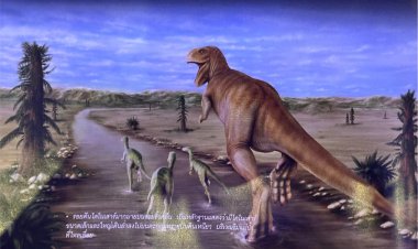 โคราชเปิดตัวรอยเท้าไดโนเสาร์ “สยามโมโพดัส เขาใหญ่เอ็นซิส ”กระตุ้นท่องเที่ยว