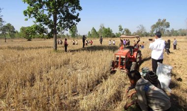 กรมการข้าว เตรียมจัด Field day งดการเผา แก้ไขปัญหาฝุ่น PM 2.5