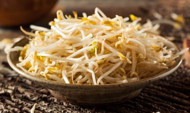 เคล็ดลับเพาะถั่วงอกในแก้วกาแฟ 3 วันได้กินเองแสนง่าย