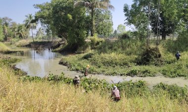 ชาวครบุรีพลิกวิกฤติคลองลำแชะเริ่มแห้งขอดแห่จับปลาทำอาหารลดค่าครองชีพ