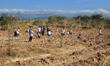 “กลุ่มผู้ใช้น้ำ ต.แก่งดินสอ” รวมพลังกรมชลฯ ปลูกป่า ฟื้นฟูระบบนิเวศ รอบอ่างฯนฤบดินทรจินดา