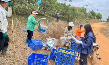 สศก. สำรวจพื้นที่ปลูกส้มเขียวหวาน 4 จังหวัด ด้วยเทคโนโลยีภูมิสารสนเทศ